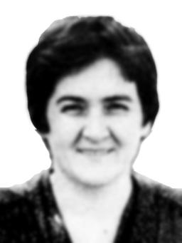 PERSA - BEBA SRDANOVIĆ 
2000-2025.