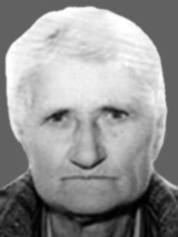 ROSE D KUJOVIĆ