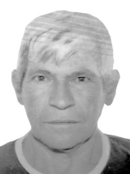 STEVANA STEVA POPOVIĆA