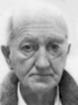 BLAŽO Tomov MARTINOVIĆ