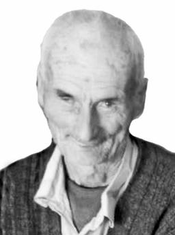 VUKOMAN Vida JOKSIMOVIĆ