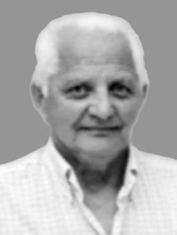 BOŽIDAR-Božo Nikolin VULETIĆ