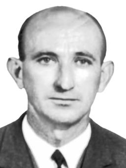 VESELIN RASPOPOVIĆ