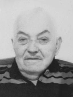 VOJA Nikolinog MILIĆ