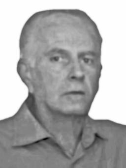 BUDIMIR-MRGO pok.Velizara LJUMOVIĆ