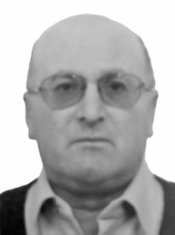 lekic cedomir