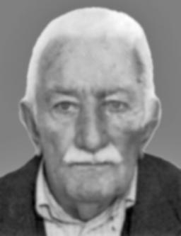 miljanic vojin