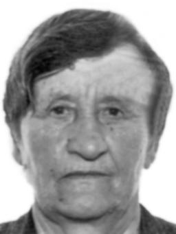 perisic rosanda