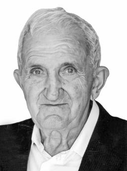 perovic pavle