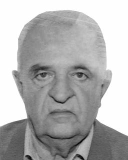 punisa raskovic