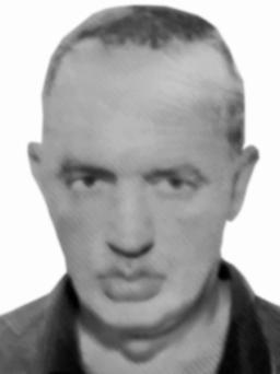 cetkovic novak