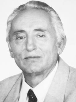 markovic radojica