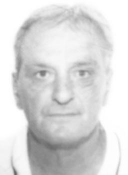 perovic danilo