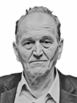 NIKICU VUJOŠEVIĆA