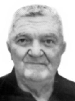 RADOMAN Dragomira FATIĆ