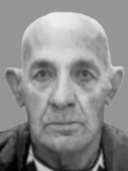 VASO Sava TERIĆ
