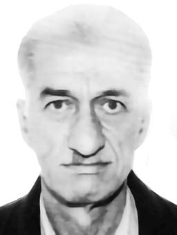 Veselin-Dragan Vukićević