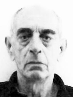 MIOMIR Nikolin LOPUŠINA
