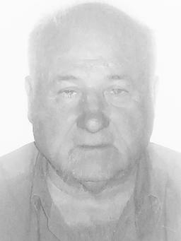 VELIŠA  Periše IVANOVIĆ