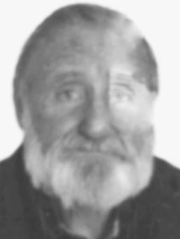 IVO Dušanov VOJINOVIĆ