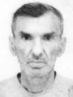 ŽELJKO DRAGIŠE  VASILJEVIĆ