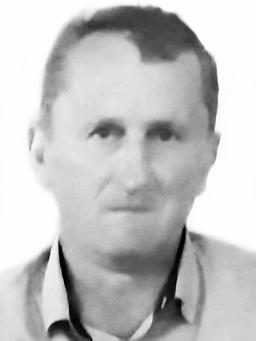 DRAGOMIR Mihaila PEJOVIĆ