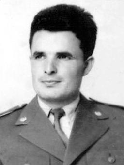 MIRKO VLAOVIĆ
