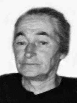 DARINKA MITROVIĆ