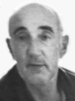 VESELIN Velimira OBRADOVIĆ