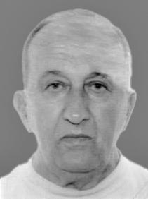 RADOVAN Mila SUROVIĆ