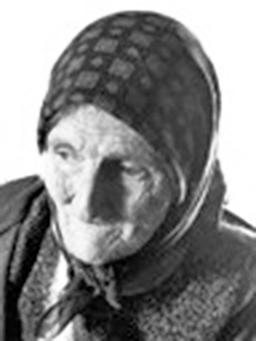 MILENA Đ. MILIĆEVIĆ