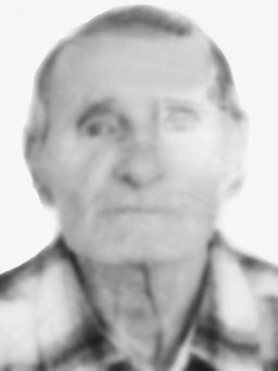 VOJIN Akima MIĆOVIĆ