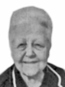 RUŽICI R. ANDRIJAŠEVIĆ