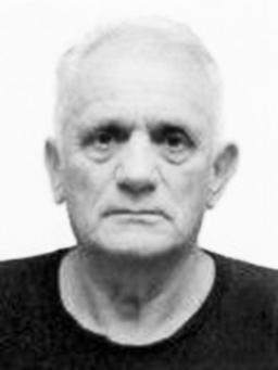 SLOBODANU LOPIČIĆU