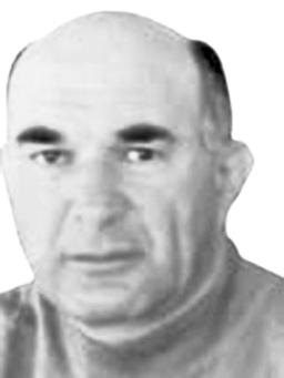 RODOLJUB K. PERUNOVIĆ
profesor