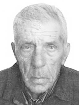 Radisav Mladena Vučić