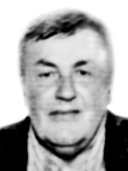 SLOBODANA M. BULAJIĆA