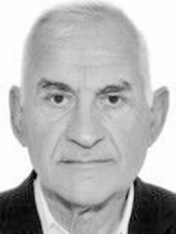 DIMITRIJE- DIMA SAVELJIĆ
