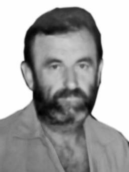 VITOMIR BRAJOVIĆ