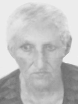 LJEPOSAVA Đorđija KRSTAJIĆ
rođena Peković