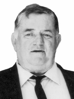 VESELIN - VENCO Milivoja RAKOVIĆ 
profesor u penziji