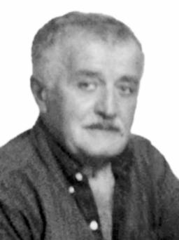 Radomir Jokić