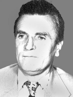 VELIMIR - VASO JANKETIĆ