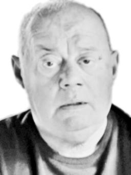 ZORANA Vasilijevog  POČEK