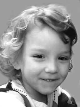 BOGDAN Radivoja VUJISIĆ