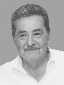 SLAVKA Novičinog RADOJEVIĆA