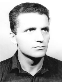 VELJKA Sava MITROVIĆA