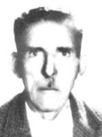 VIDOJE ŽIVKOVIĆ