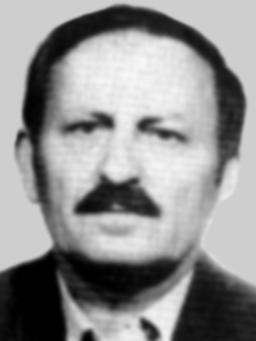 VLADIMIR RADOJIČIĆ