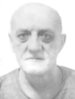 VESELIN Vukmanov MRDOVIĆ